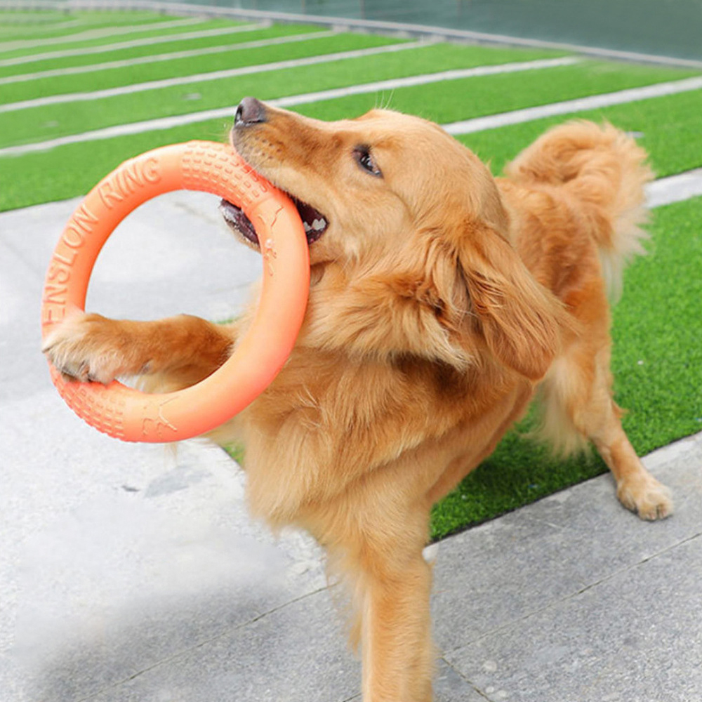 Laranja voando disco formação  - Flying Disc Dog Training Toy avaliação e preço