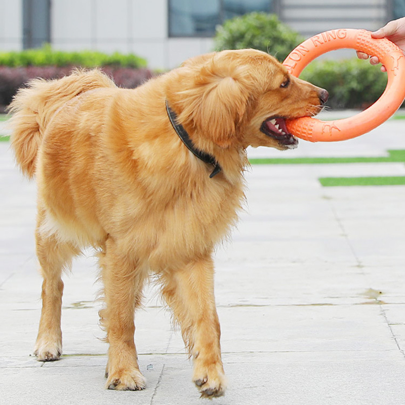 Laranja voando disco formação  - Flying Disc Dog Training Toy avaliação e preço