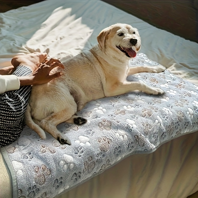 Toalha Confortável para Pets,  - Pet Beds avaliação e preço