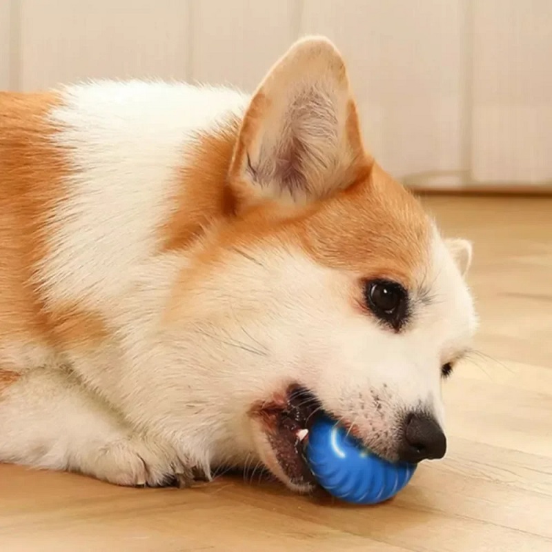 Bola de Brinquedo para Cães co - Automatic Moving Dog Ball avaliação e preço