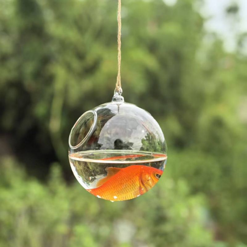 Terrário de Vidro Transparente - Aquarium avaliação e preço
