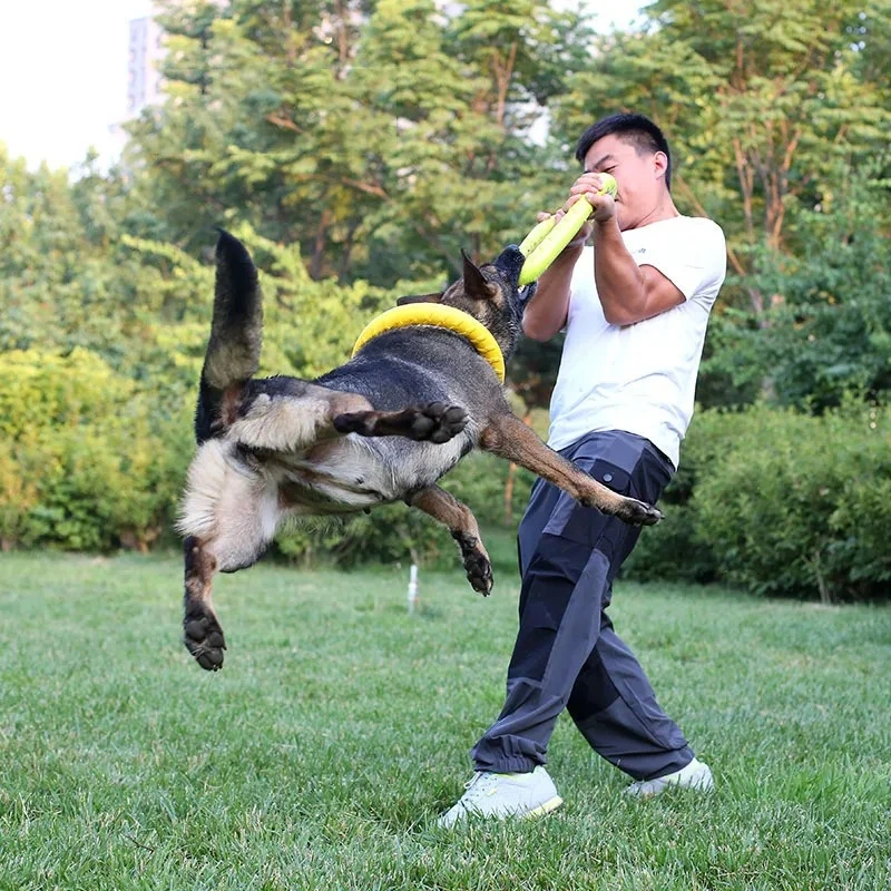Discos voadores EVA Dog Traini - Flying Disc Dog Training Toy avaliação e preço