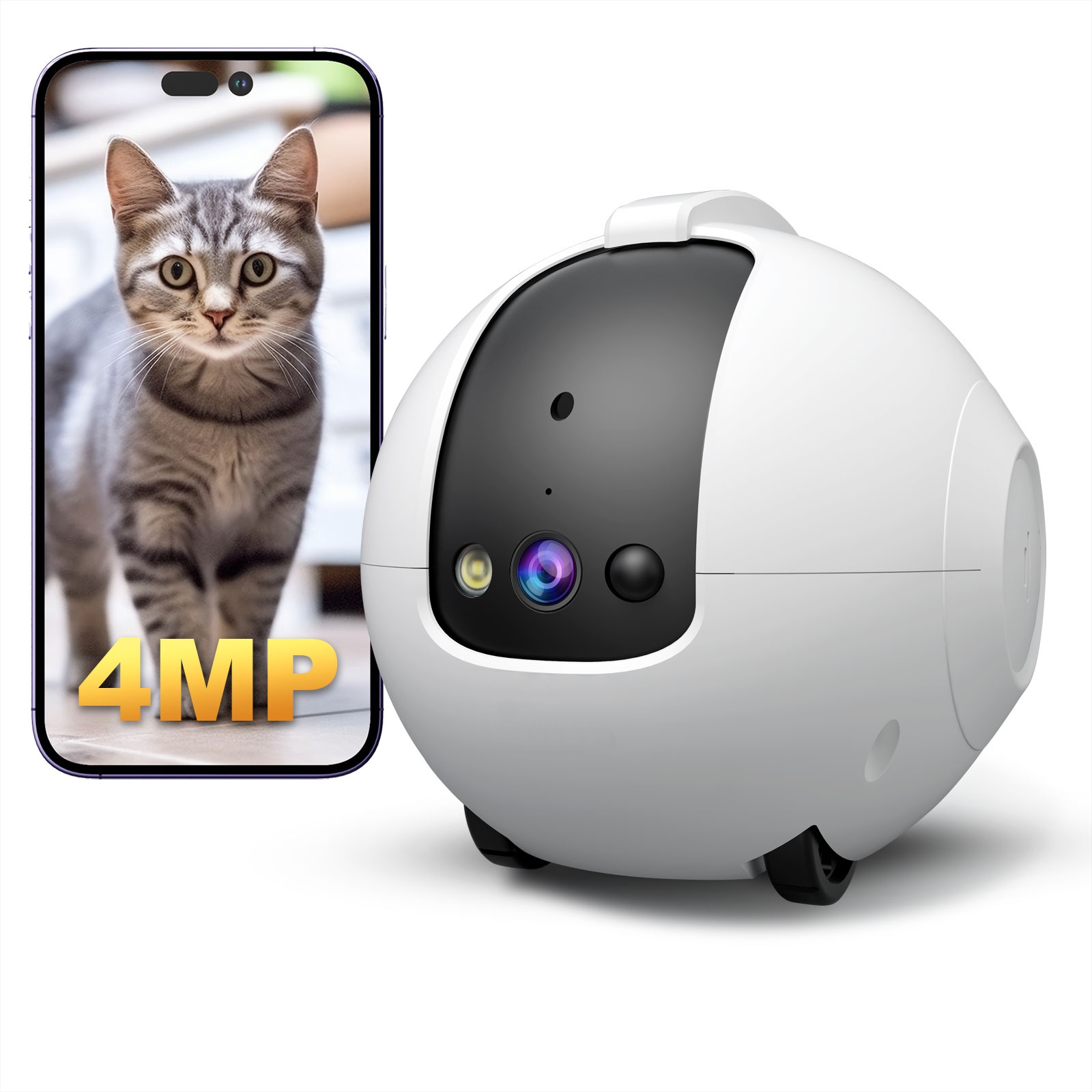 Câmera robô para animais de es - Dog Toys avaliação e preço